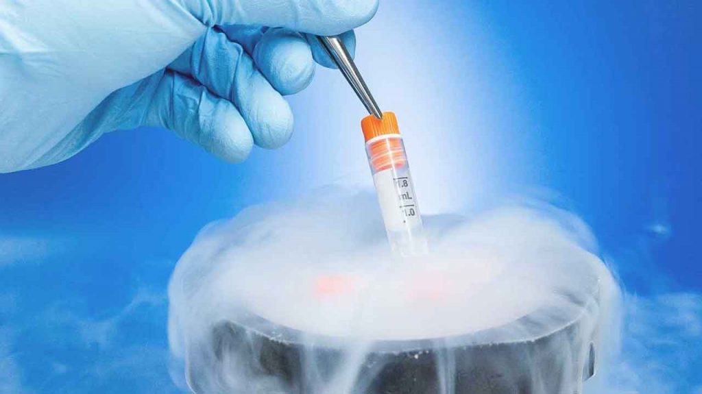 8 bước chi tiết quy trình thụ tinh thụ tinh ống nghiệm
