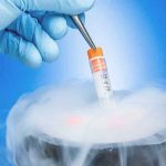 8 bước chi tiết quy trình thụ tinh thụ tinh ống nghiệm