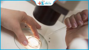 Tất tần tật thông tin về phương pháp thụ tinh trong ống nghiệm