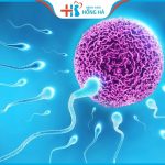 Thụ tinh nhân tạo là gì, Chuẩn bị những gì để đạt tỷ lệ thành công cao nhất