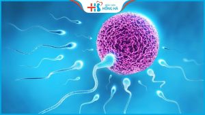 Thụ tinh nhân tạo là gì, Chuẩn bị những gì để đạt tỷ lệ thành công cao nhất