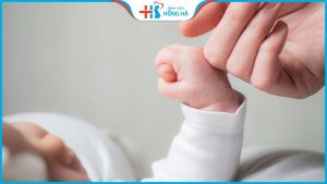 Thụ tinh nhân tạo: Đối tượng chỉ định, yếu tố nguy cơ và thành công