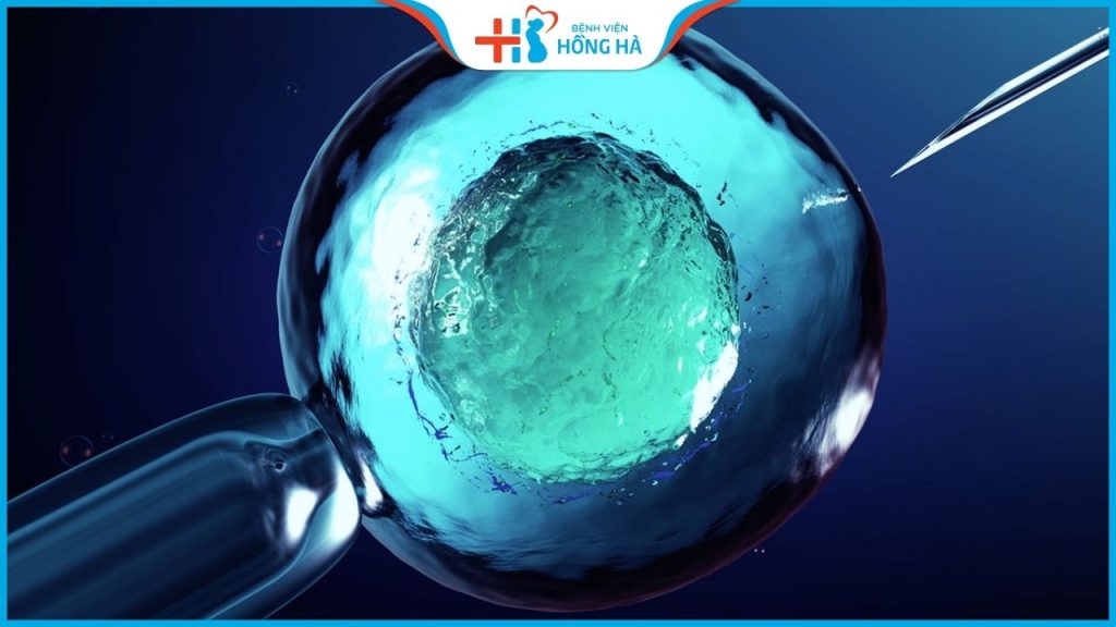 8 kỹ thuật điều trị giúp tăng tỷ lệ thành công thụ tinh ống nghiệm