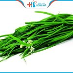 6 loại thực phẩm tốt cho sức khỏe tinh trùng và sinh sản của nam giới
