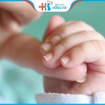 Thụ tinh nhân tạo là gì? Kinh nghiệm giúp tăng tỷ lệ thành công khi làm thụ tinh nhân tạo