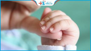 Thụ tinh nhân tạo là gì? Kinh nghiệm giúp tăng tỷ lệ thành công khi làm thụ tinh nhân tạo