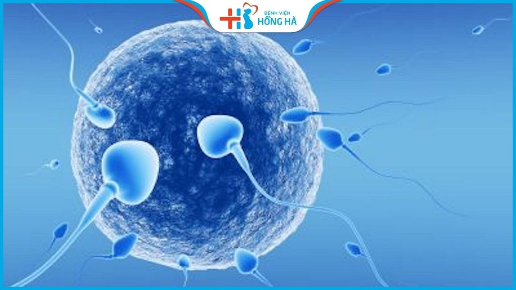 Thụ tinh nhân tạo mất nhiều tiền không? Vợ chồng hiếm muộn quan tâm