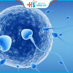 Thụ tinh nhân tạo mất nhiều tiền không? Vợ chồng hiếm muộn quan tâm