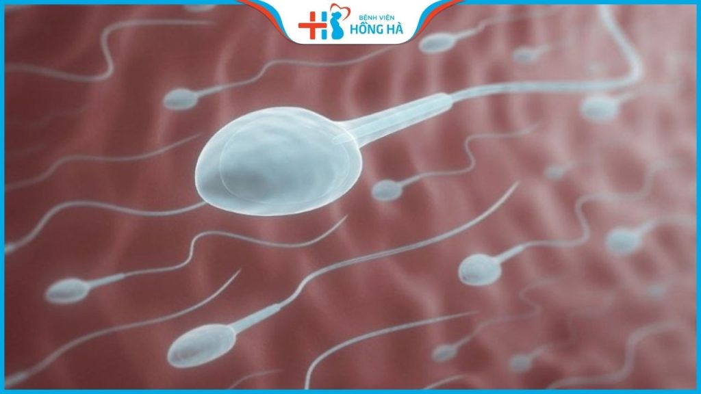 Tinh trùng vón cục: 5% nam giới gặp phải vấn đề này