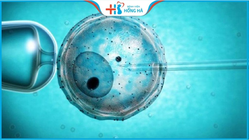 5 yếu tố giúp tăng tỷ lệ thành công khi thụ tinh ống nghiệm