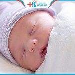 Giải đáp: Có mấy cách thụ tinh nhân tạo?