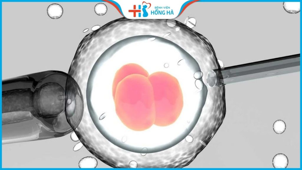 Top 8 địa chỉ thụ tinh ống nghiệm uy tín, tỷ lệ thành công cao tại Hà Nội