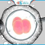 Top 8 địa chỉ thụ tinh ống nghiệm uy tín, tỷ lệ thành công cao tại Hà Nội