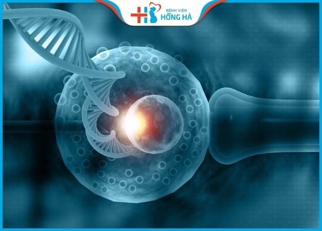 Thụ tinh nhân tạo IVF là kết hợp tinh trùng và trứng tạo phôi trong phòng thí nghiệm