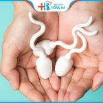 Tinh trùng đặc như thạch: Nguyên nhân, cách chữa an toàn hiệu quả