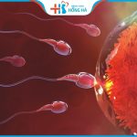 Tinh trùng lẫn máu là bệnh gì? 9 Nguyên nhân khiến tinh trùng màu nâu đỏ