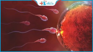 Tinh trùng lẫn máu là bệnh gì? 9 Nguyên nhân khiến tinh trùng màu nâu đỏ