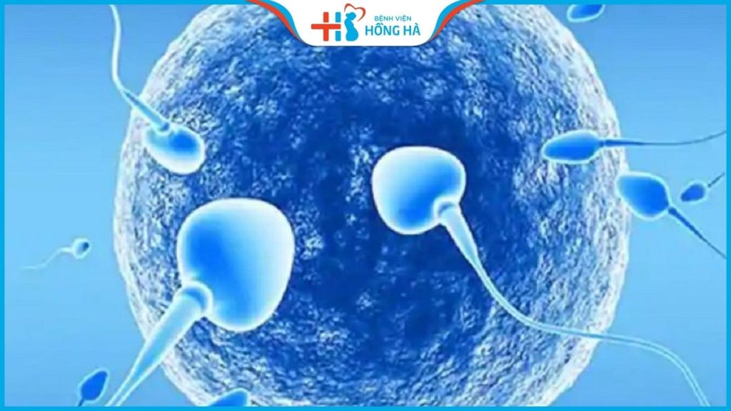 Tinh trùng nóng là gì? 9 cách cải thiện hiện tượng tinh trùng nóng hiệu quả