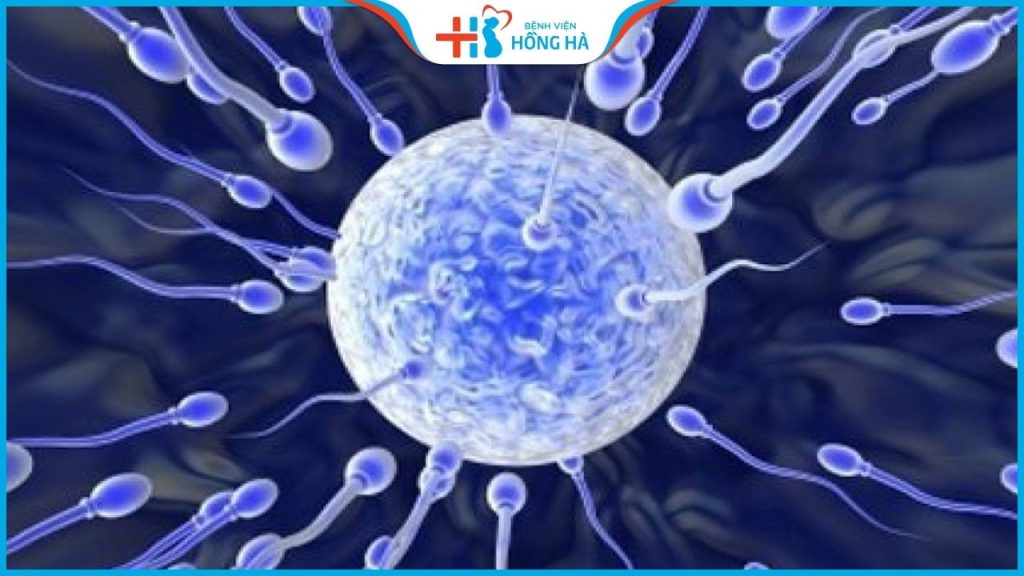 Tinh trùng vón cục có gây vô sinh không? 2 cách điều trị hiệu quả