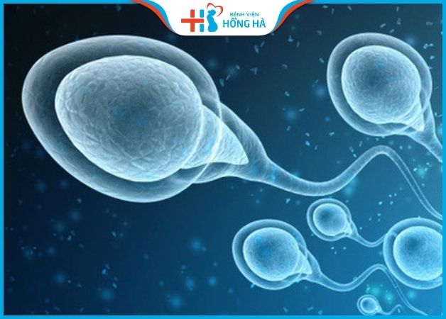 Phương pháp xin tinh trùng thực hiện hỗ trợ thụ tinh nhân tạo