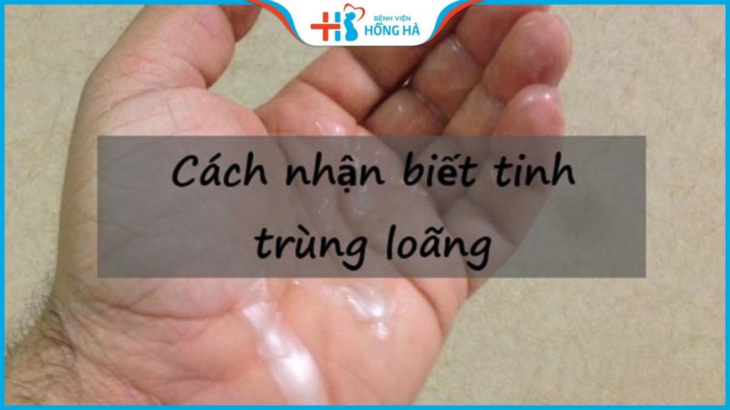 Tinh trùng loãng có ảnh hưởng gì đến khả năng sinh sản