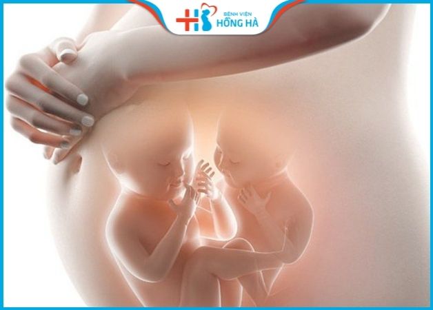 Khả năng mang đa thai sau thụ tinh ống nghiệm cao