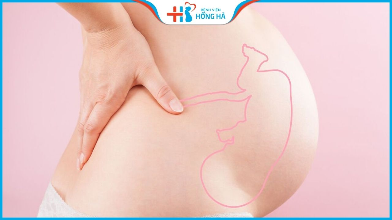 Những yếu tố nào ảnh hưởng đến cân nặng của thai nhi trong giai đoạn cuối thai kỳ?
