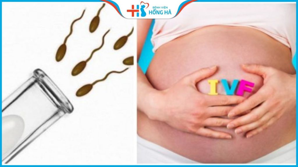Phương pháp IVF: Lợi ích, quy trình và thông tin cần biết