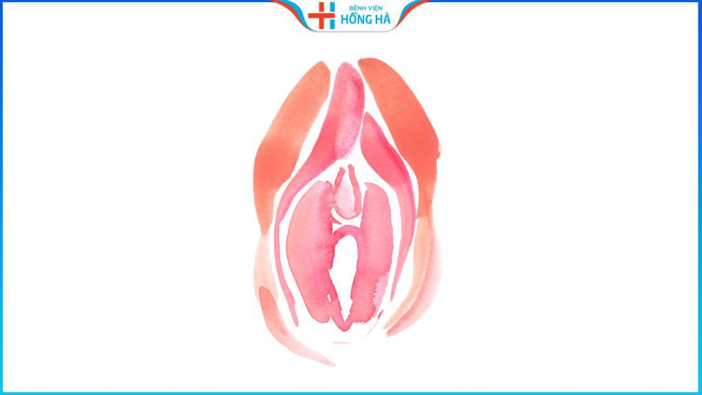 Thu nhỏ môi bé không cần phẫu thuật, giải pháp trẻ hóa toàn diện vùng kín