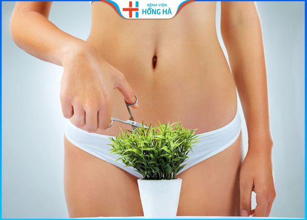 Lông mu có nhiều tác dụng đối với chị em