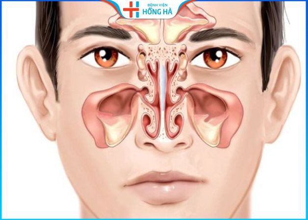Cấu tạo mũi nằm ở vị trí trung tâm của gương mặt