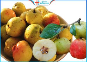 4 Cách Giảm cân bằng táo mèo an toàn, hiệu quả