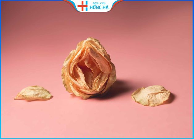 Kinh nghiệm thẩm mỹ vùng kín an toàn, bền đẹp