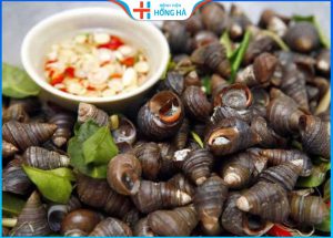 Cắt mí ăn ốc được không – 3 loại hải sản không nên ăn sau cắt mí