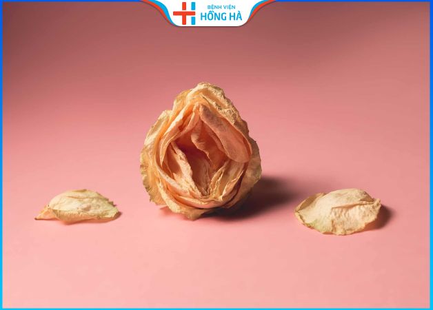 Phẫu thuật thẩm mỹ vùng kín sau sinh sở hữu cô bé se khít, quyến rũ