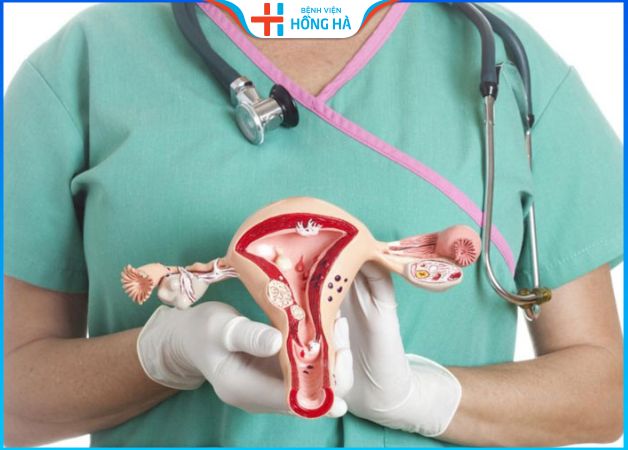 Top 2 bác sĩ giỏi trong điều trị đa nang buồng trứng với tỷ lệ hiệu quả cao