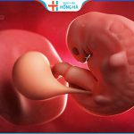 8 Dấu hiệu thai phát triển tốt 3 tháng đầu