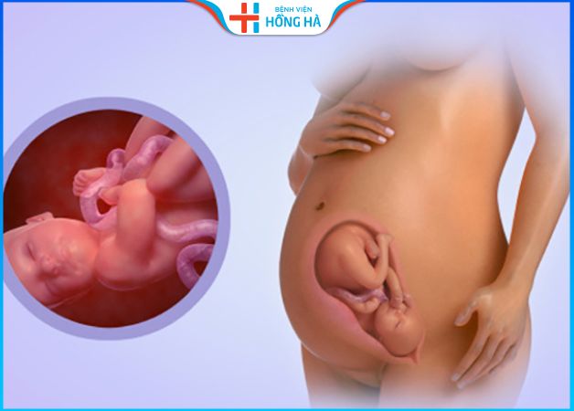  Nhận biết thai nhi phát triển tốt thông qua cử động trong bụng mẹ