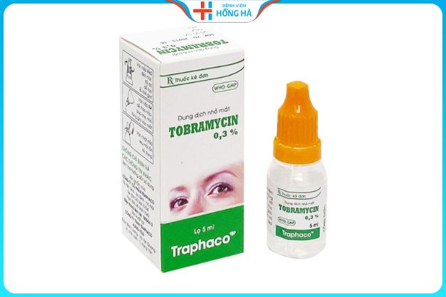 Thuốc kháng sinh Tobramycin 